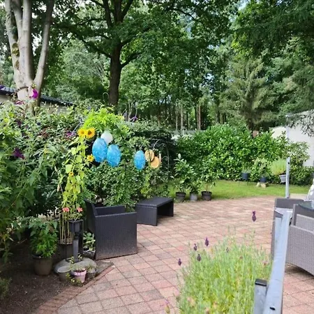 De Veluwe Flirt I Fijn Met Infraroodsauna Chalet *